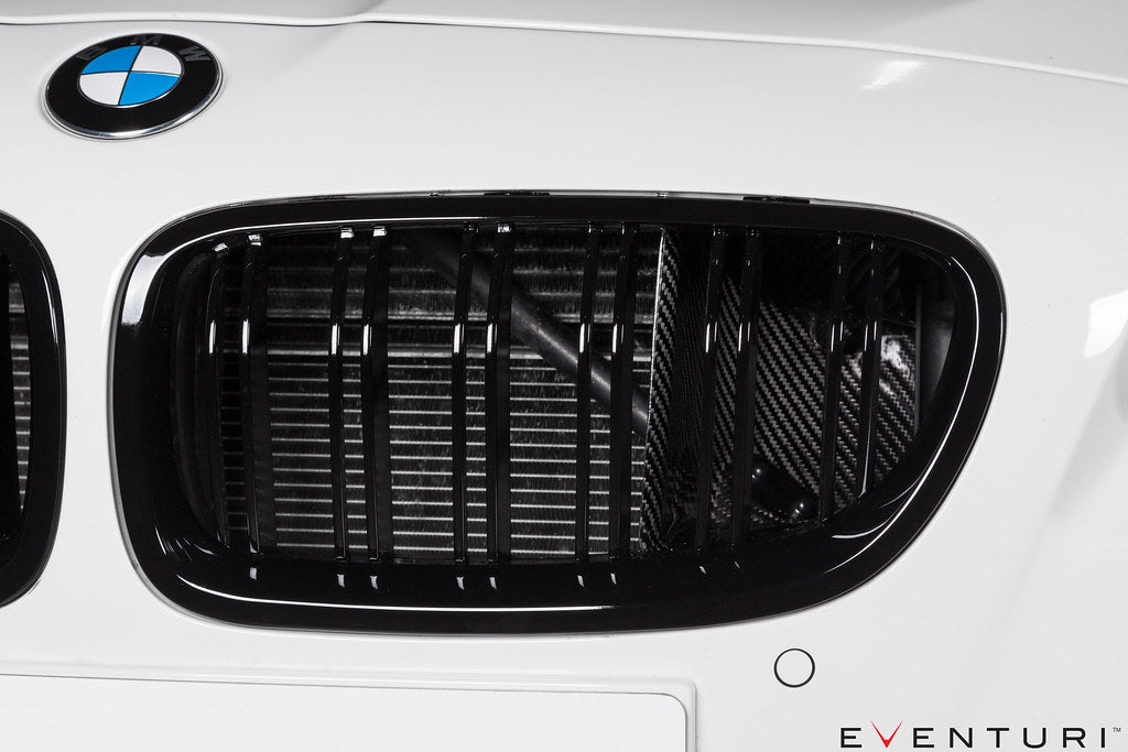 Eventuri - Carbon Performance Intake - BMW F10 M5