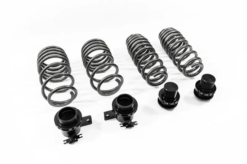 HAS Kit Height Adjustable Lowering Springs Cobra Suspension