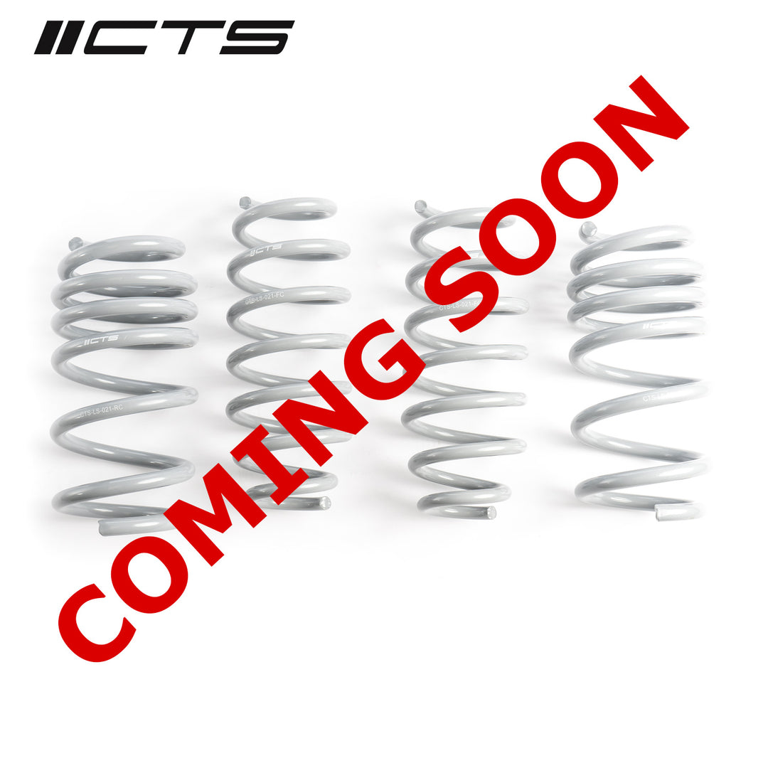 CTS Turbo - Tesla Model 3 Performance AWD Lowering Springs - CTS-LS-021