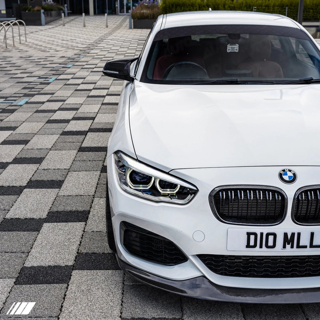 PSR Parts - Carbon Fibre Double Slat Kidney Grilles for BMW 1 Series (2015-2019, LCI F20 F21)