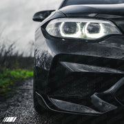 PSR Parts - Carbon Fibre Performance Front Blades for BMW M2 (2015-2018, F87)
